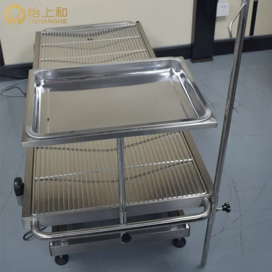 Surgical Operating Table Animal Dog Cat Veterinary Equipment Pet Medical Electric Angle Stainless Steel Temperature Control