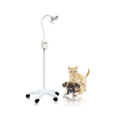 Medical Portable Mobile LED Operation Lamp Advanced Surgical Examination Light for Pets with CE
